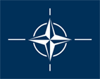 small nato